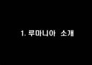 루마니아 소개 3페이지