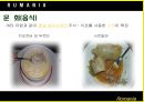 루마니아 소개 9페이지