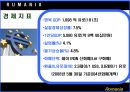 루마니아 소개 12페이지