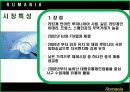 루마니아 소개 17페이지