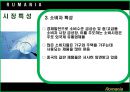 루마니아 소개 19페이지