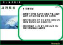 루마니아 소개 20페이지
