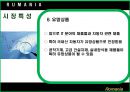 루마니아 소개 22페이지
