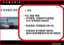루마니아 소개 25페이지