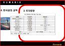 루마니아 소개 30페이지