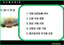 루마니아 소개 33페이지