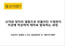 임신과 출산.pptx 3페이지