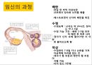 임신과 출산.pptx 4페이지