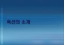  옥션의 비즈니스 모델과 성공요인 8페이지