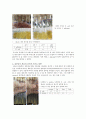 1029_물리화학적인자_항균제감수성 2페이지