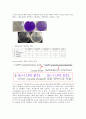 1029_물리화학적인자_항균제감수성 4페이지