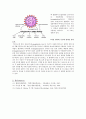 02_Hemagglutination 2페이지