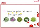 [전략경영][국제경영] 예지미인(생리대)의 베트남  시장 진출 전략 9페이지