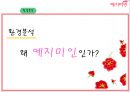 [전략경영][국제경영] 예지미인(생리대)의 베트남  시장 진출 전략 19페이지