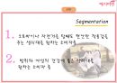 [전략경영][국제경영] 예지미인(생리대)의 베트남  시장 진출 전략 32페이지