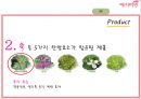 [전략경영][국제경영] 예지미인(생리대)의 베트남  시장 진출 전략 38페이지