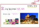 [전략경영][국제경영] 예지미인(생리대)의 베트남  시장 진출 전략 46페이지