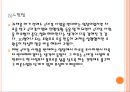 4대강산업 반대 근거 17페이지