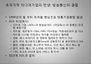 대중문화와 정체성 ppt 11페이지