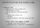 대중문화와 정체성 ppt 13페이지