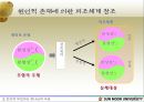 인간의 부모 9페이지