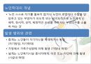 [노인간호학] 21장 노인학대 요약 (수문사).pptx 4페이지
