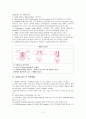 ABGA와 VBGA의 의의 3페이지