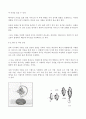  자이로스코프 6페이지