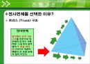 창의공학기초설계 - 계란 낙하 실험 - 실습목표, 진행과정, 구조물 토의와 결정, 실험결과 및 분석, 개선방안 6페이지