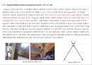 다이아그리드의 구조적 시스템 (Diagrid Structural System)  9페이지