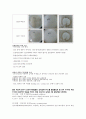 무기화학실험 8주차 솔겔실리카 합성 (Sol-Gel Silica Preparation) 5페이지