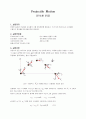 projectile motion (포사체 운동) 1페이지