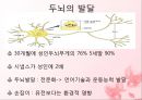 [인간행동과 사회환경] 유아기의 신체, 운동발달과 유아기의 인지, 언어발달에 관해서 4페이지