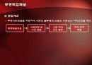 투명복합패널을 이용한 콘크리트 구조물 보수보강 공법 14페이지