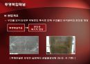 투명복합패널을 이용한 콘크리트 구조물 보수보강 공법 16페이지