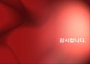 투명복합패널을 이용한 콘크리트 구조물 보수보강 공법 24페이지