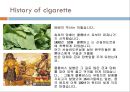 about  cigarette 4페이지