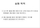 8.황산철 제조 2페이지