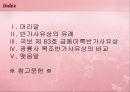 금동 미륵반가사유상 2페이지