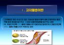 고지혈증  발표 3페이지
