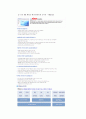 Management Information System 개념 사례 21페이지