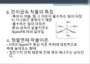 펜타암민클로로코발트 - Pentaamminechlorocobalt(III) chloride[Co(NH3)5Cl]Cl2의 제조 : [Co(NH3)4CO3]NO3 을 이용하여 [Co(NH3)5Cl]Cl2 을 제조한다.pptx 8페이지