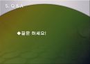 위안화절상이 한국경제에미칠영향,위안화절상,환율전쟁,중국미국환율전쟁 17페이지