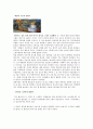 이마트의 성공사례와 월마트의 실패사례 비교,이마트,이마트성공사례,월마트,월마트실패사례,월마트분석,이마트분석 9페이지