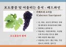 와인과 음료 7페이지