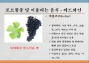 와인과 음료 8페이지