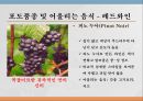 와인과 음료 10페이지