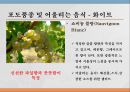 와인과 음료 11페이지