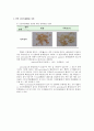 농산 공학 - 쌀의 도정도(搗精度)_신선도(新鮮度) 실험 및 찹쌀_멥쌀 판별법(判別法) 11페이지