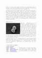 [세균학] 균에 대해 -바실러스(Bacillus), 포도상구균(Staphylococcus), 대장균(Escherichia Coli) 4페이지